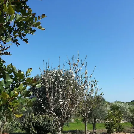 Trullo With 3 Bedrooms In Ceglie Messapica, With Private Pool, Enclose * Ceglie Messapica